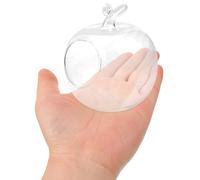 SUPVOX Conteneur Paysager en Verre Forme Pomme 12X10X10 CM pour Succulentes et Décoration de Table Intérieure