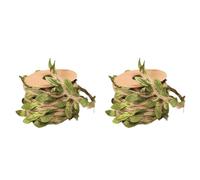 SUPVOX Corde Naturelle de Remplacement pour Grattoir Chat 2 Rouleaux 5 Mètres par Rouleau, Corde Soi-même pour Colonne à Griffer, Accessoire Solide pour Arbre à Chat,