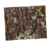 SUPVOX Cork Bark pour Décor De Terrarium Et Aquarium Liège pour Habitat De Reptile Et Décor De Mur Végétal Dimensions