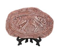 SUPVOX De Dinosaure Décoratif Réplique De Fossile Accessoire De Terrarium Simulation Animal pour Boîte Décorative Paysage Rampant