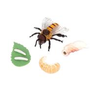 SUPVOX Éducatif de Figurines Miniatures de Cycle de Vie de Petites Crevettes Réalistes pour Garçon Fille Pédagogique Plastique pour Développer Créativité et Imagination