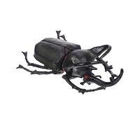SUPVOX Éducatif Décoratif pour Garçon Fille Apprentissage des Insectes et Décoration Domestique