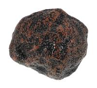 SUPVOX Enfants Cognition Jouet Miniature Noire Traffle Cuisine Mini Simulation Jouet Bonsaï Truffes Jardin Décor De Cuisine Jouet pour Les Garçons