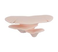 SUPVOX Étagères Murales de Champignons pour Araignée Sauteuse et Tarentule, Plastique Khaki, Décor Invisible et Hygiénique pour Terrarium D'élevage