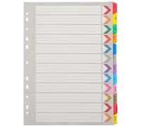 SUPVOX Intercalaires A4 Plastiques Colorés 12 Feuilles avec Onglets Mensuels, Séparateurs pour Classeur et Bloc-notes à Feuilles Mobiles, Marque-pages Détachables pour Organisation