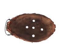 SUPVOX Jardinière Murale Corne De Cerf pour Plantes Grimpantes Suspension pour Orchidées Et Plantes Succulentes Décoration Intérieure