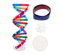 SUPVOX Jouet Éducatif Adn Double Hélice Modèle à Assembler pour Garçon et Filles Favorise la Résolution de Problèmes Kit Scientifique Interactif pour l'enseignement Génétique Humaine