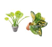 SUPVOX Lot De 2 Mini Plantes en Pot Artificielles Décoratives - Maison Miniature, Bureau Et Table De Chevet - Pot Céramique Mini Bonsaïs Réalistes - Décoration Végétale Compacte Et Légère