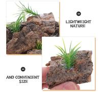 SUPVOX Lot de 20 écorces de Reptiles pour Aquarium et Terrarium - Plateforme en écorce d'arbre - Fond en liège - Décoration pour Petit Terrarium - Toile de Fond pour lézards, Serpents,