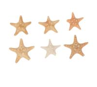 SUPVOX Lot De 6 Décorations Étoile De Mer Naturelle pour DIY, Ornements Marins en Matériau Naturel, Style Océan, Décoration De Vase Et Aquarium, Accessoires Créatifs pour Amateurs De Bricolage