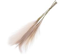 SUPVOX Lot de 6 Herbes Pampa Artificielles, Bouquet de Fleurs Décoratives en Faux Roseaux Beige, Jaune Clair et Café Clair, Décoration Intérieure Champêtre pour Mariage et Vase,