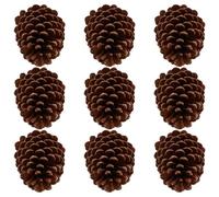 SUPVOX Lot de 9 Pommes de Pin Décoratives Naturelles, Grandes Pommes de Pin Séchées pour Décoration Noël, Accessoires DIY pour Guirlande, Décoration Maison et Photo, Ambiance Rustique