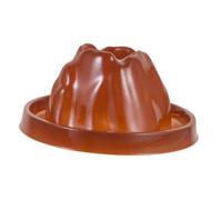 SUPVOX Modèle de Plastique DIY pour Kit Éducatif de Simulation pour Aquariums et Décorations Outil Pédagogique pour Comprendre Naturels