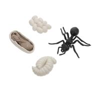 SUPVOX Modèle de Simulation de Fourmis Ouvrières Éducatif pour Garçon et Filles Jouet en Plastique Cycle de Vie Réaliste Pratique et pour Décoration de Salle de Classe 1 Ensemble