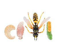 SUPVOX Modèle De Simulation Et D'évolution Guêpe pour Garçon Et Filles, 4 Pièces, Éducatif, Cycle De Croissance Réaliste, Jouet Cognitif, Apprentissage, Décoration Scolaire