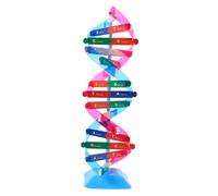 SUPVOX Modèle Double Hélice Kit Scientifique Précis pour Enseignement Biologie Compact et Facile à Assembler Outil Pédagogique pour Cours et Recherche