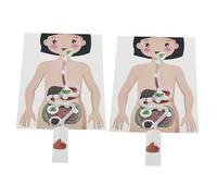 SUPVOX Modèle du Système Digestif Humain à Monter Soi-même 2 Kits Garçon Et Filles Matériel De Bricolage Éducatif Apprentissage Ludique Stem