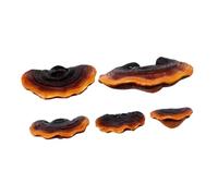 SUPVOX Ornements De Champignons Ganoderma Lucidum en Résine 9.20 X 6.20 X 3.60 Pouces Lot De 5 Décors De Champignons Réalistes pour Jardin Extérieur Et Décoration De Sapin De Noël