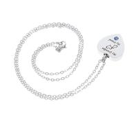 SUPVOX Pendentif Commémoratif pour Animaux De Compagnie Collier Urne en Forme De Cœur Pendentif en Acier Inoxydable pour Papa Et Maman Commémoratif
