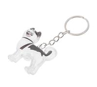 SUPVOX Pet Hair Memorial Keyring Transparent Capsule Keepsake Box for Dog Cat Hair Storage Portable Bag Charm and Keychain Secure Sealing Design