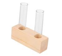 SUPVOX Pot De Fleur De Tube à Essai Vert Vert Bureau Vase Tubulaire Usine Plantes Terrarium Végétal Propagé Petit Tube De Propagation Clair Décor De Terrarium Pot De Terrarium Un Verre