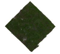 SUPVOX Tapis de Gazon Synthétique Vert Pelouse Artificielle et Flexible Décoration Extérieure Diy pour Balcon Écran Dintimité et Événements
