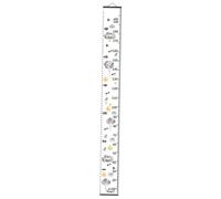 SUPVOX Toise Murale pour Garçon Fille Toile Noire Règle de Croissance Suspendue pour Mesurer la Décoration Murale Pratique pour Chambre Garçon Fille et Salle de Jeux