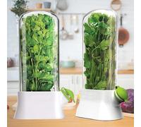 SUQ 2PCS Boîte De Conservation d'Herbes Pour Réfrigérateur, 27 * 13 CM, Récipient De Stockage d'Herbes Vanille Keep-Fresh Cup, Conservateur D'Herbes Fraîches, Garde Les Herbes Fraîches