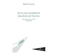 Sur La Cour Européenne Des Droits De L'homme - Rétrospective D'un Initié (1998-2016)