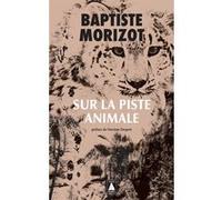 Sur la piste animale Baptiste Morizot (Auteur), Vinciane Despret (Préface)