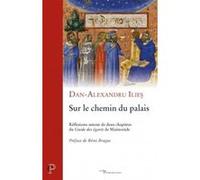 Sur le chemin du palais - reflexions autour de deux chapitres du guide des egares de maimonide Dan-Alexandru Ilies (Auteur), Rémi Brague (Préface)