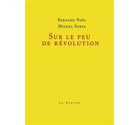 Sur le peu de révolution - Michel Surya - Librairie De La Nerthe - broché - Essai