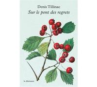 Sur le pont des regrets Denis Tillinac (Auteur)