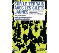 Sur Le Terrain Avec Les Gilets Jaunes - Approche Interdisciplinaire Du Mouvement En France Et En Belgique
