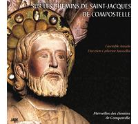sur Les Chemins de Saint-Jacques de Compostelle