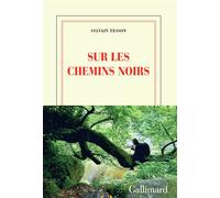 Sur les chemins noirs - Sylvain Tesson - Gallimard - broché - Roman