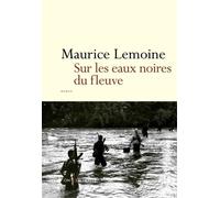 Sur les eaux noires du fleuve - Maurice Lemoine - Don quichotte - broché - Roman