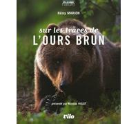 Sur les traces de l'ours brun