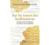 Sur les traces des bodhisattvas : Enseignements bouddhiques sur l'essence de la meditation