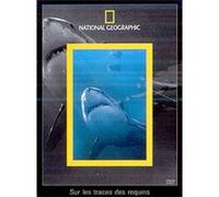 Sur les Traces des Requins G