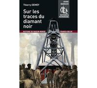 Sur les traces du diamant noir: Histoire du bassin minier franco-belge