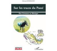 Sur les traces du Passé Sylvain Josserand (Auteur)