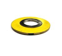 Sur-seal, INC. Teadit 90002500600 Gr900 spirale Cordes Joint d'étanchéité, Inconel 600 Flexible Graphite, 2-1/5,1 cm Taille de conduite, # 900 Class Bride pour des applications à haute température variations thermiques pour