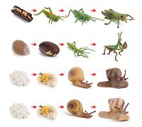 Surakey 16pcs Figurines D'Insectes Cycle de Vie de Sauterelle Mantis Escargot Modèle de Cycle de Croissance Animale de Simulation, Réalistes Jouets Éducatif Science ModèLe Jouet pour Enfants