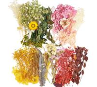 SURALIN 4 Sacs Ensembles de Remplisseurs de Fleurs Fleurs Séchées Complètes pour Ensemble de Matériel d'artisanat, Fleurs Sechees Naturelles Fleur Sechees Decoration