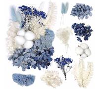 SURALIN Ensembles de Remplisseurs de Fleurs Fleurs Séchées Complètes pour Ensemble de Matériel d'artisanat Fleurs Sechees Naturelles Fleur Sechees Decoration