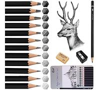 Surcotto Crayon Dessin - 12 Graphite avec Gomme et Taille-Crayon 14B 12B 10B 8B 6B 4B 2B B HB H 2H 4H - Pour Adultes, Artiste, Débutant, Designers