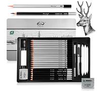 Surcotto Lot de 21 crayons avec 1 taille-crayon, 2 gommes, 1 extendeur de stylo, 3 essuie-glaces, kit de dessin professionnel pour débutants, étui en métal, contenu 10B à 4H, total 30
