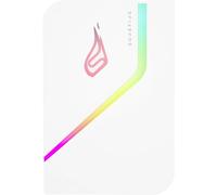 SureFire PyroDrive Gaming 2 TB Disque dur externe SSD USB-C® (USB 3.2 Gen 1) blanc 53695