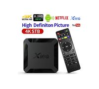 SURENHAP - Boîtier Smart TV X96Q Android 10.0 Allwinner H313 Quadcore Lecteur multimédia 1G + 8G 4K 2598660
